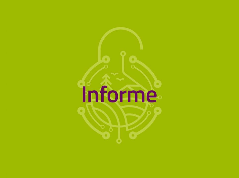 Foto Informe